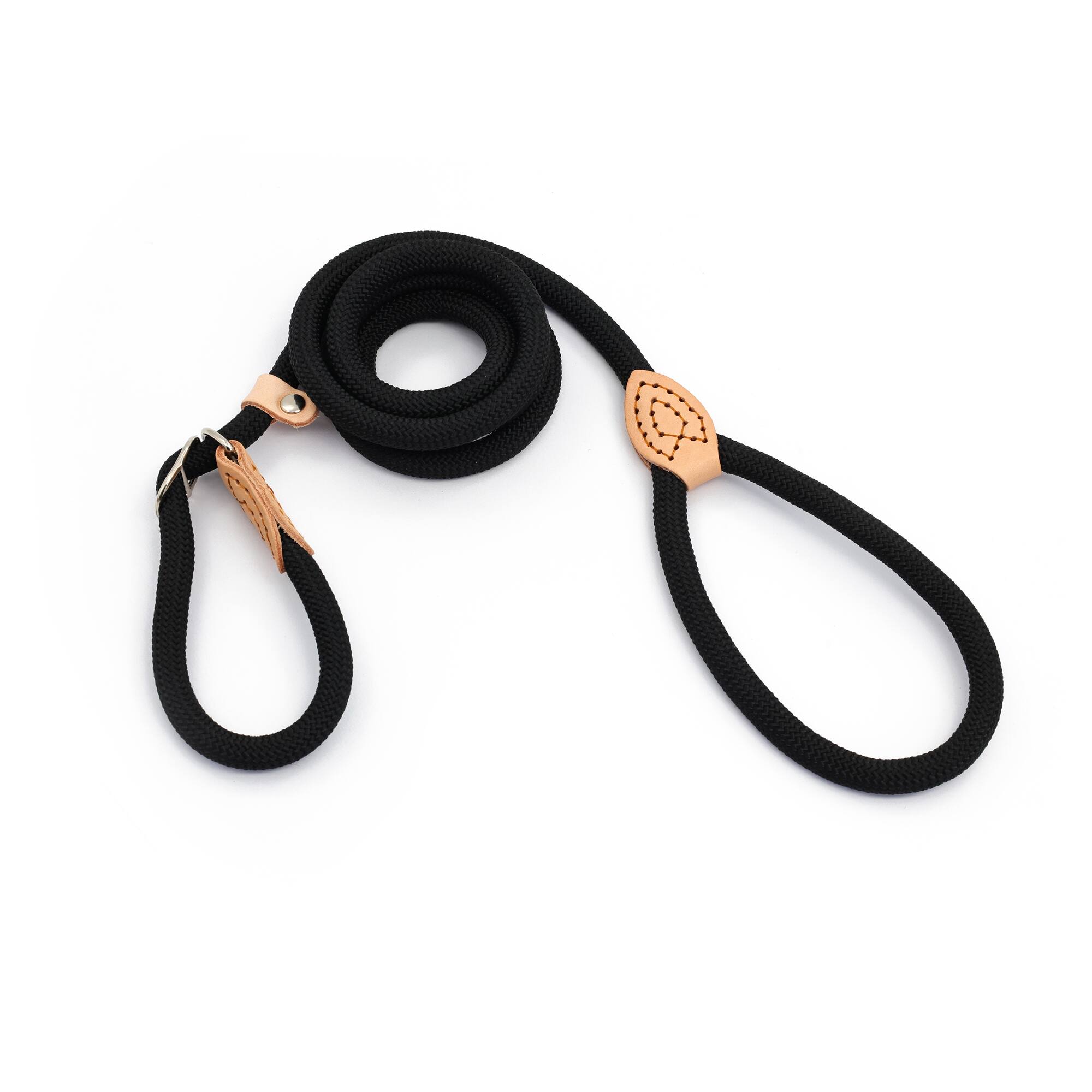 Assorted 5ft. Pet Leash, 1pc. by Fab Finds